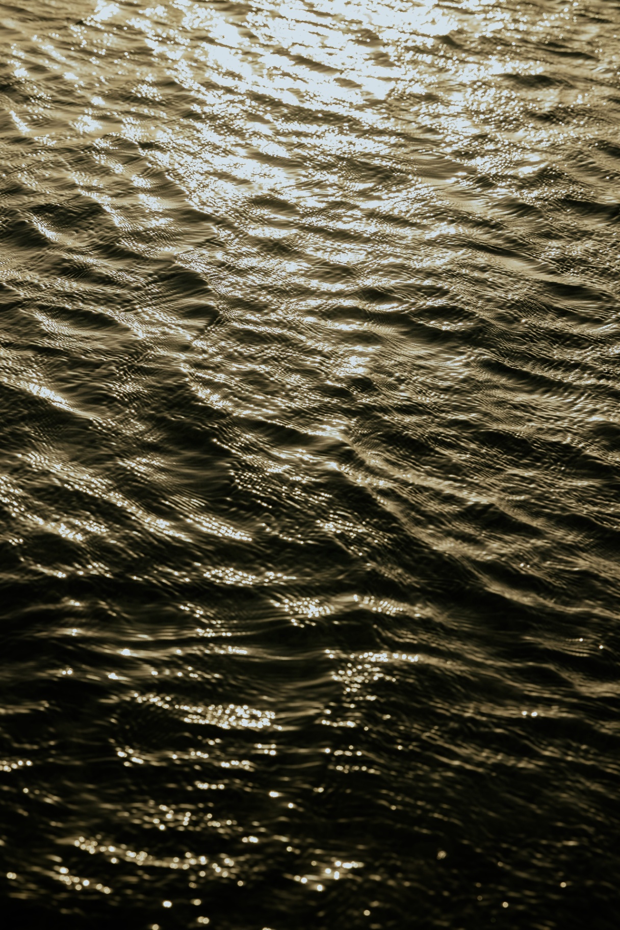 Spectrum House Water