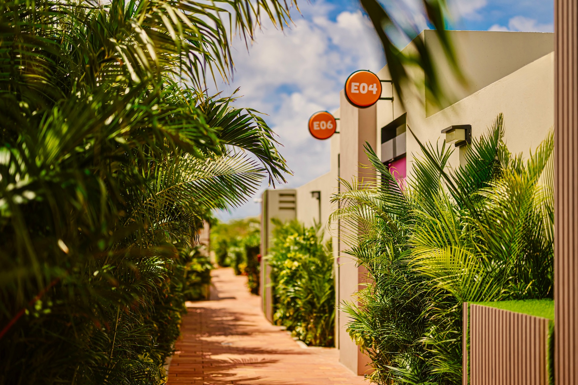 Palm-lined garden walkway with orange room number markers on the suites