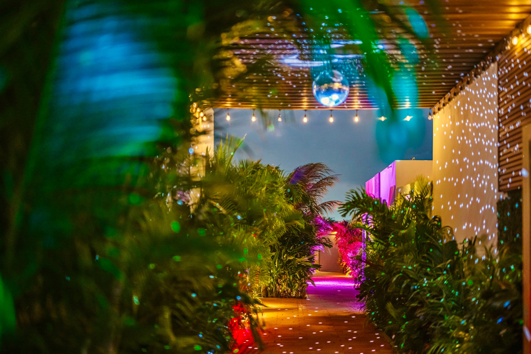 Lush garden pathway at Privada lit with disco-ball reflections and color uplighting
