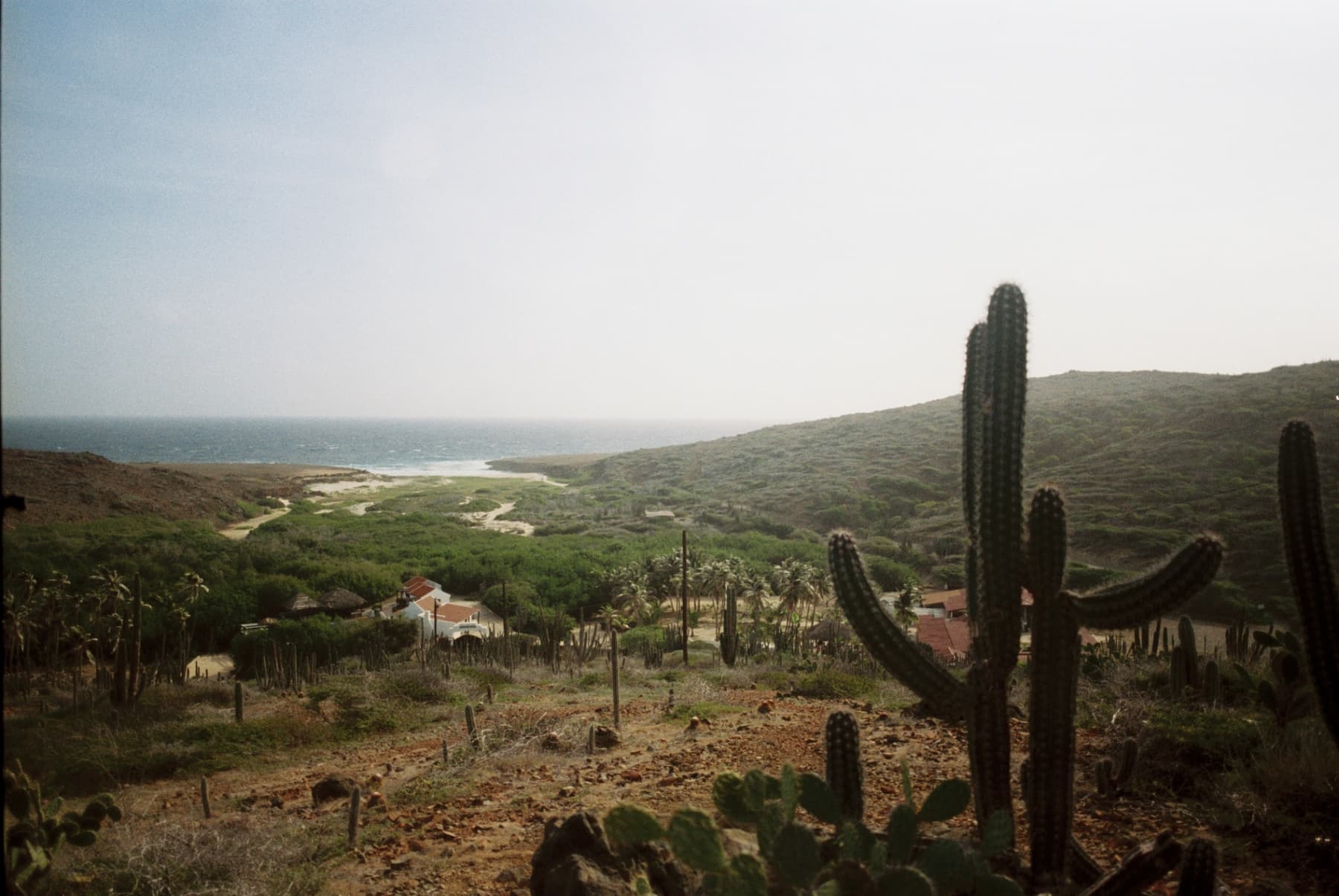 Aruba desert landscape with cacti opening onto the coast — Peak, Saturday